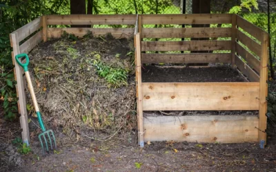 How To Compost Chicken Manure