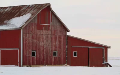 Tips For Protecting Chickens In Cold Weather